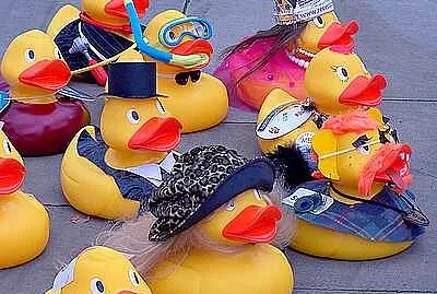 Duck Race jigsaw puzzle