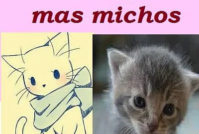 foto xd?