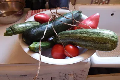 frutti dell 'orto
