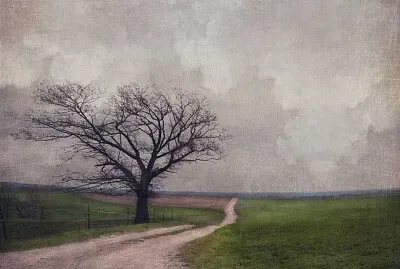 Camino