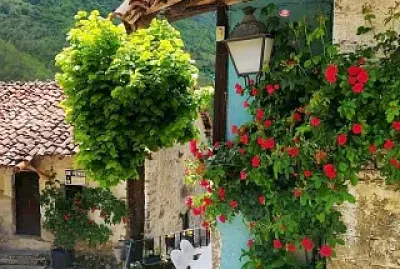 flores