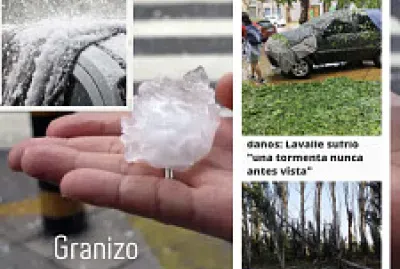 Proyecto