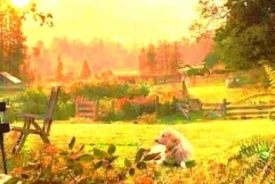 jardín jigsaw puzzle