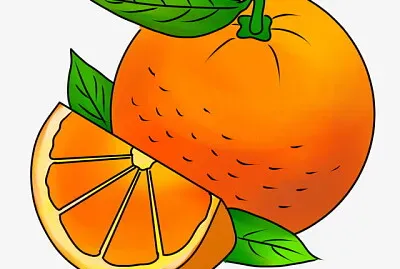 Grupo 1 - Laranja jigsaw puzzle