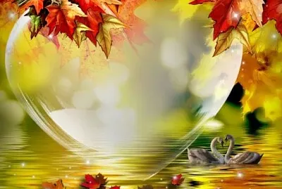 פאזל של imagem