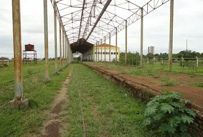 Ettory Yuri Batista jigsaw puzzle