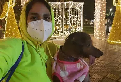 פאזל של FRAU GRAHAM