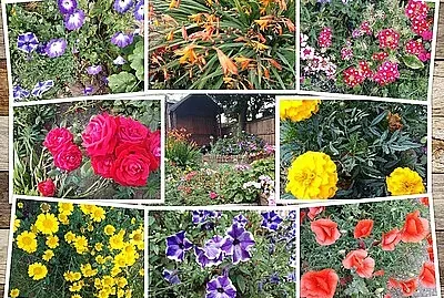 August Colour jigsaw puzzle