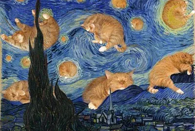 Noite estrelada gatinhos