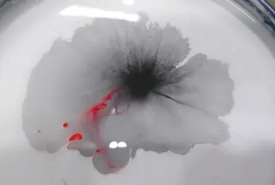 Not a flower, just some paint jigsaw puzzle