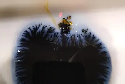 Fractals, or tiny little trees maybe jigsaw puzzle