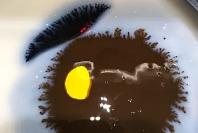 What shapes do you see? jigsaw puzzle