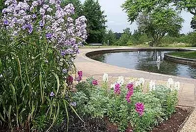 Millennium Garden jigsaw puzzle