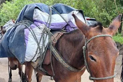 Transporte  en el eje cafetero