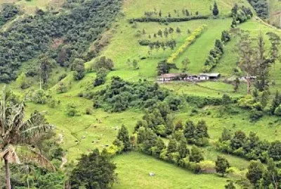Valle del Cocora Q. Colombia jigsaw puzzle