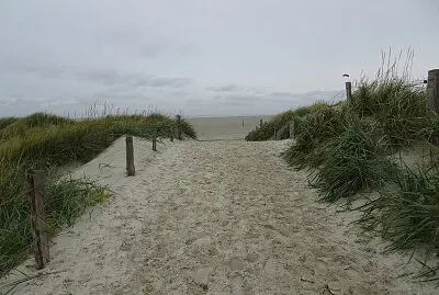 Dünen St. Peter Ording