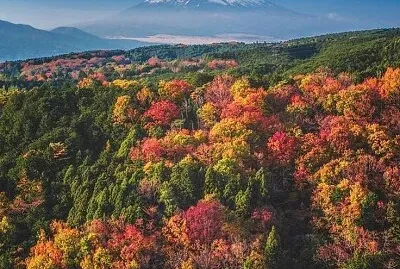 imagem jigsaw puzzle