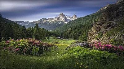 imagem jigsaw puzzle