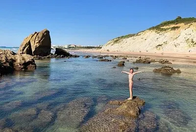 פאזל של Bidart