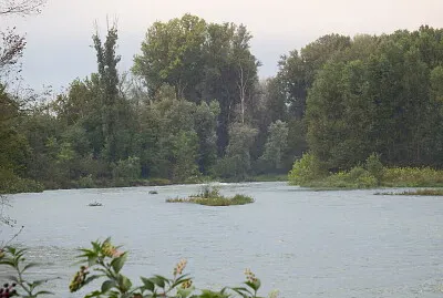 il fiume scompare nel bosco jigsaw puzzle