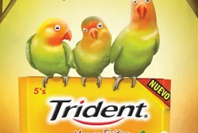 Los alumnos identifican el tipo de cartel