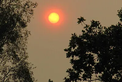 Red sun, storm Ophelia Sahara dust 2017, UK