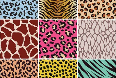 Pattern