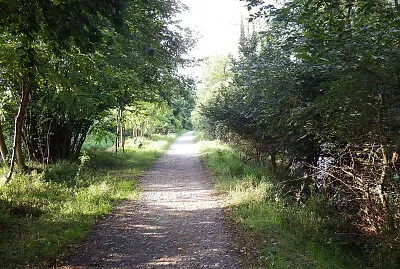 פאזל של il sentiero