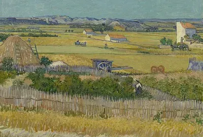 Vincent