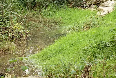 il rio