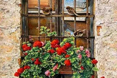 ventana
