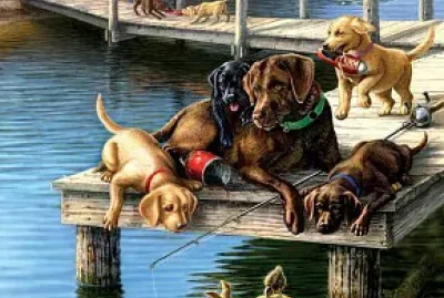 Muelle jigsaw puzzle