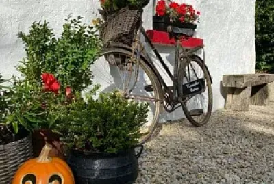 פאזל של bicicleta