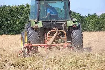 Harvest Time