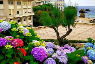 paysage