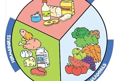 Nutrición