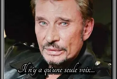 פאזל של Johnny Hallyday