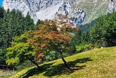 montagne