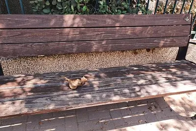 bench jigsaw puzzle