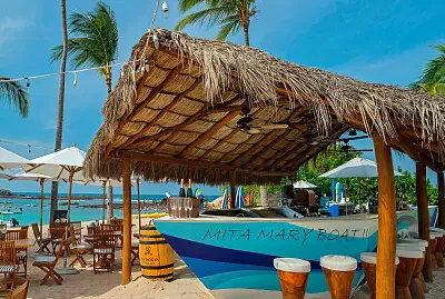 342.- LA PALAPA