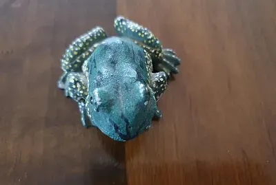 frog jigsaw puzzle