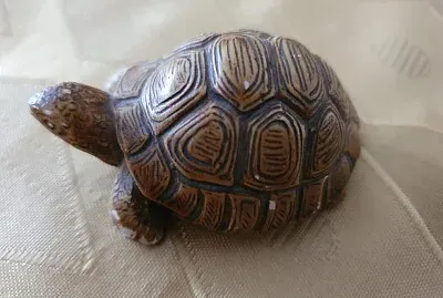 פאזל של turtle