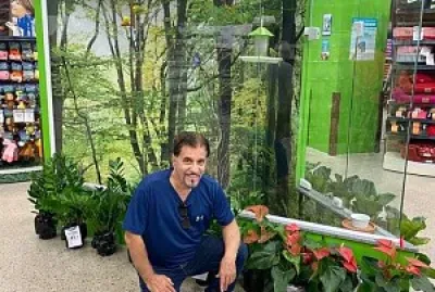 moradia jigsaw puzzle