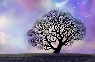 Bare Tree against Purple Sky