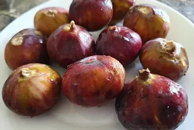 פאזל של Figs