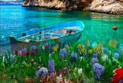 Naturaleza jigsaw puzzle