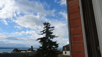 Héron Neuchâtel jigsaw puzzle