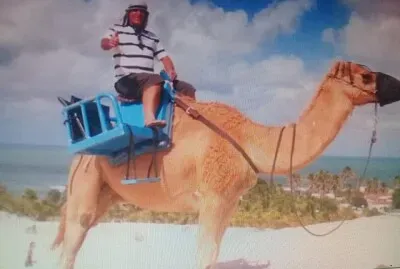 פאזל של moradia