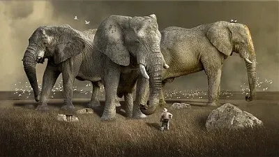 Toy jigsaw puzzle