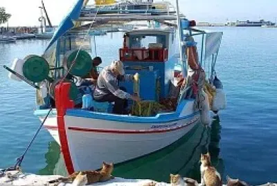 Bote de Pesca